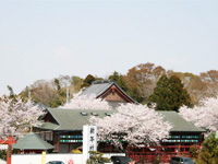 千葉厄払い不動尊妙泉寺